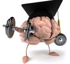 portrait of brain with dumbbells